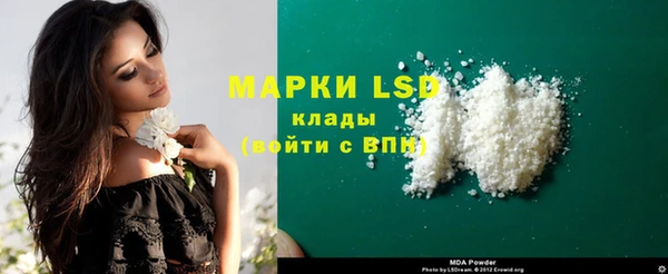 спайс Алзамай