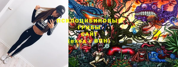 спайс Алзамай