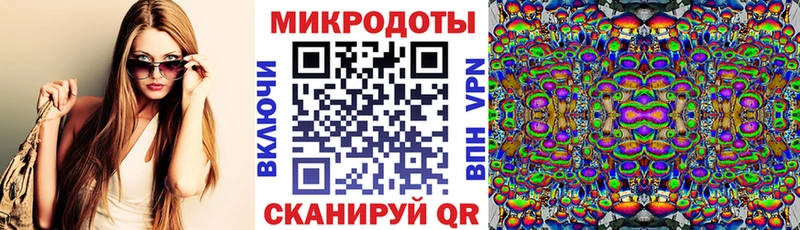 omg сайт  Кемь  Псилоцибиновые грибы Psilocybine cubensis 